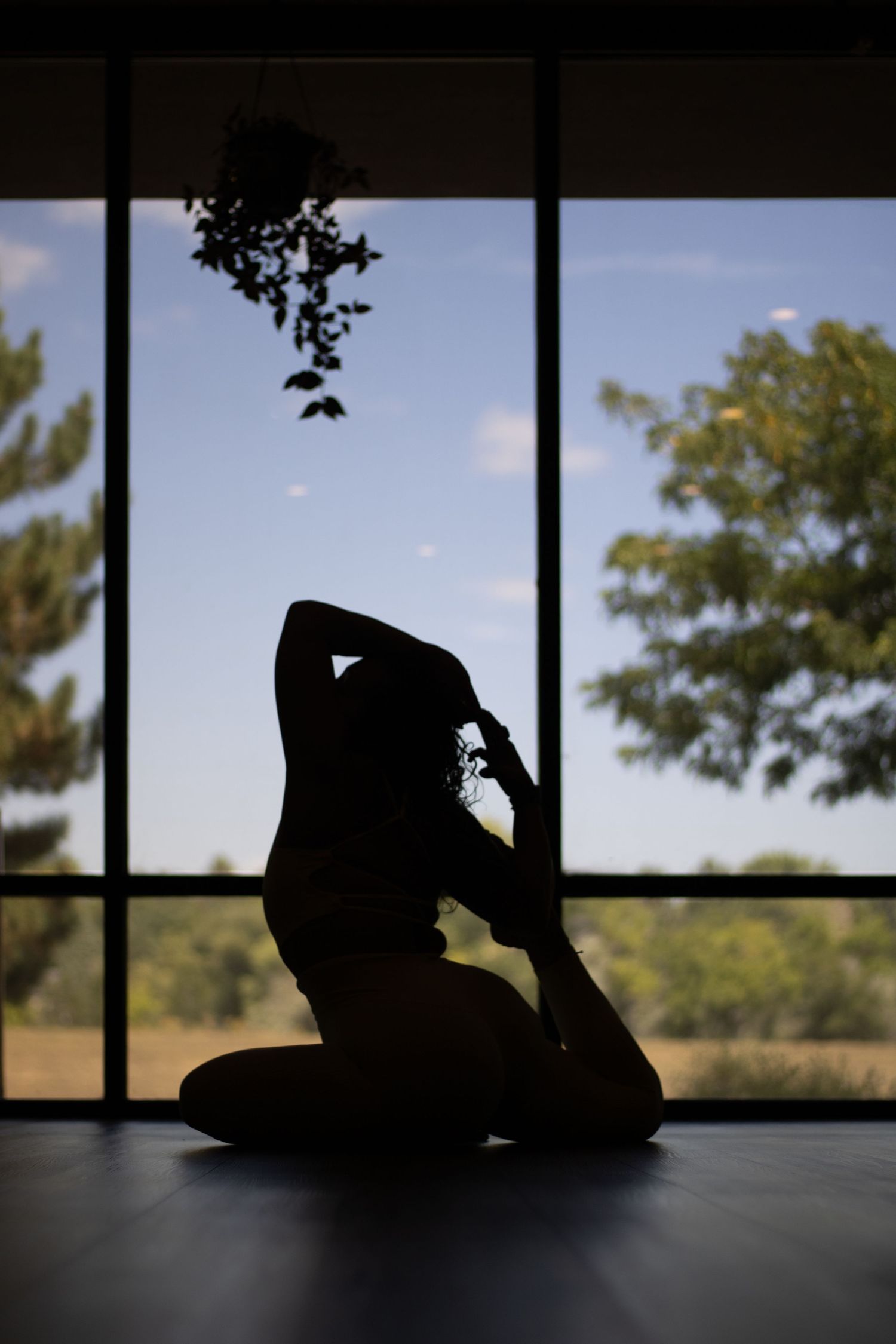 Silhouettes of figures reclining and sitting against a bright window with trees visible outside.