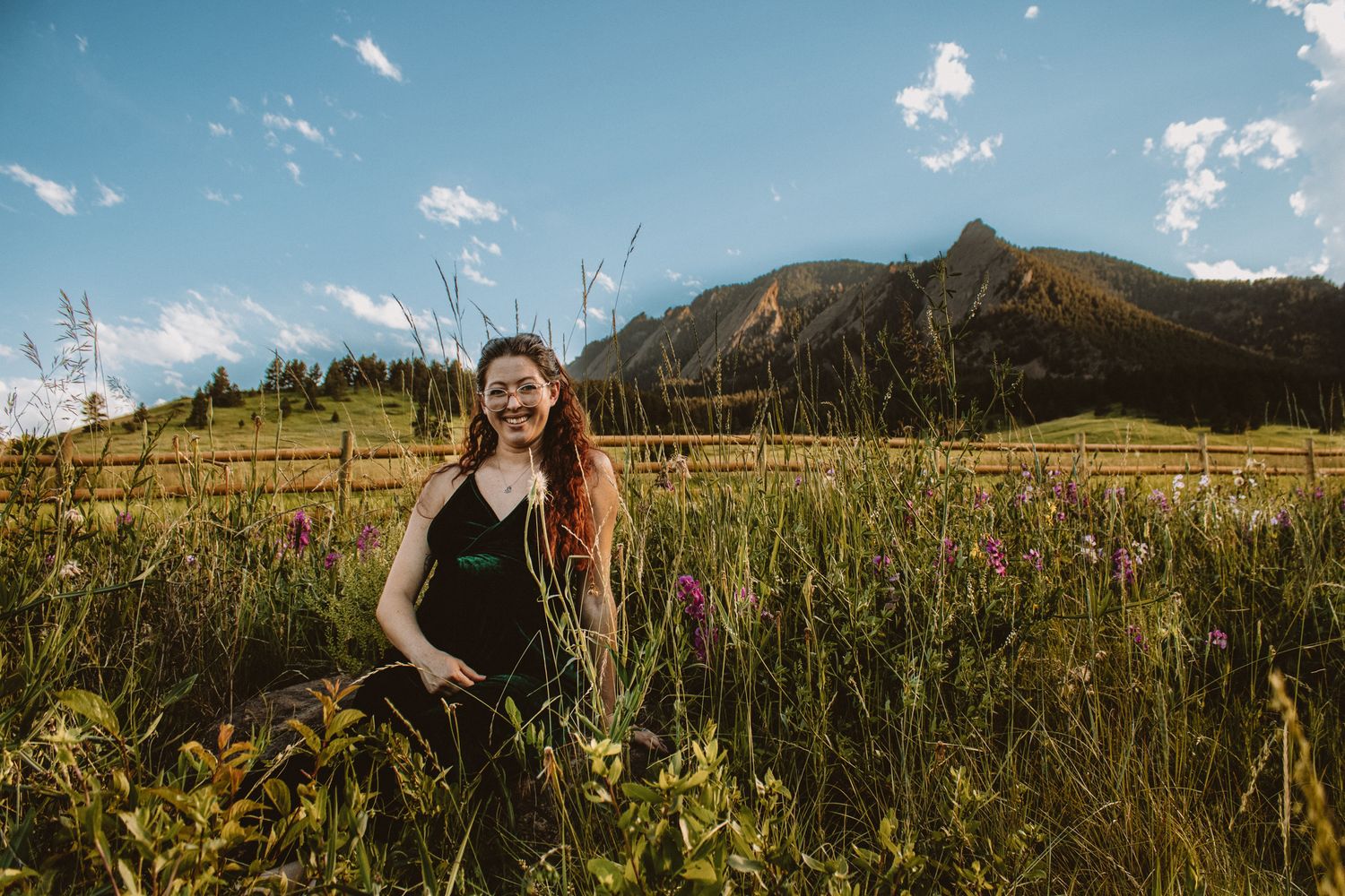 A panoramic view of wildflower meadows and mountains stretches across multiple connected landscape photos.