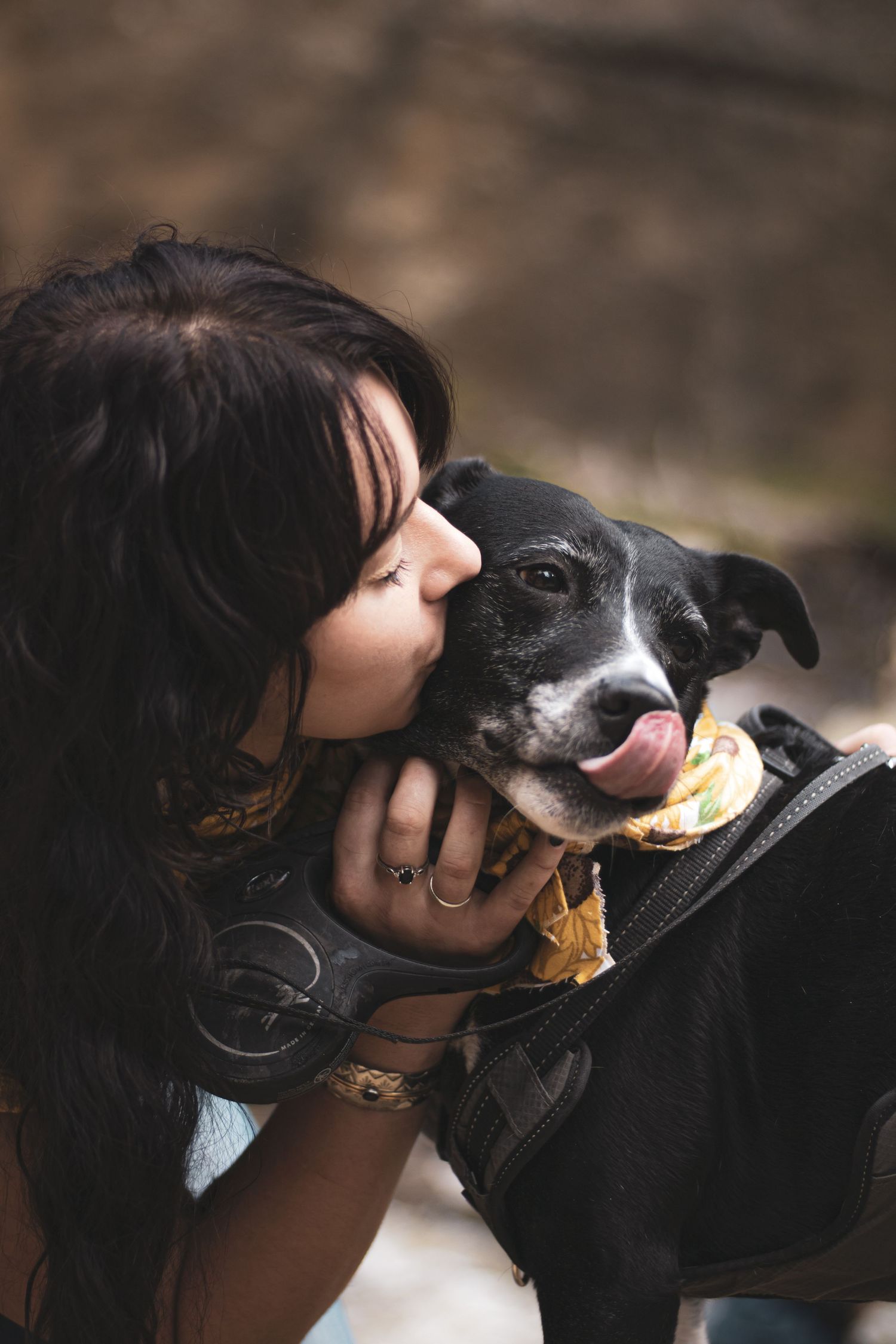 A person and black dog share an ice cream cone together in a heartwarming sequence of photos.