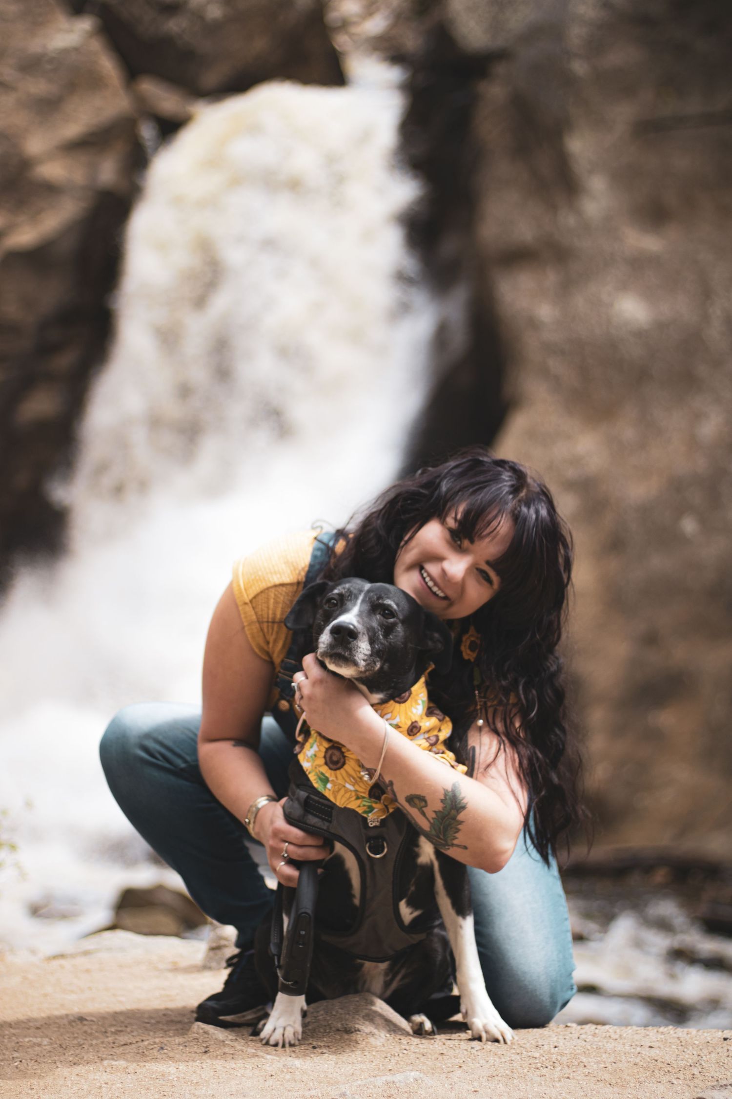 A person in jeans and yellow top plays with a black and white Boston Terrier dog near a waterfall.