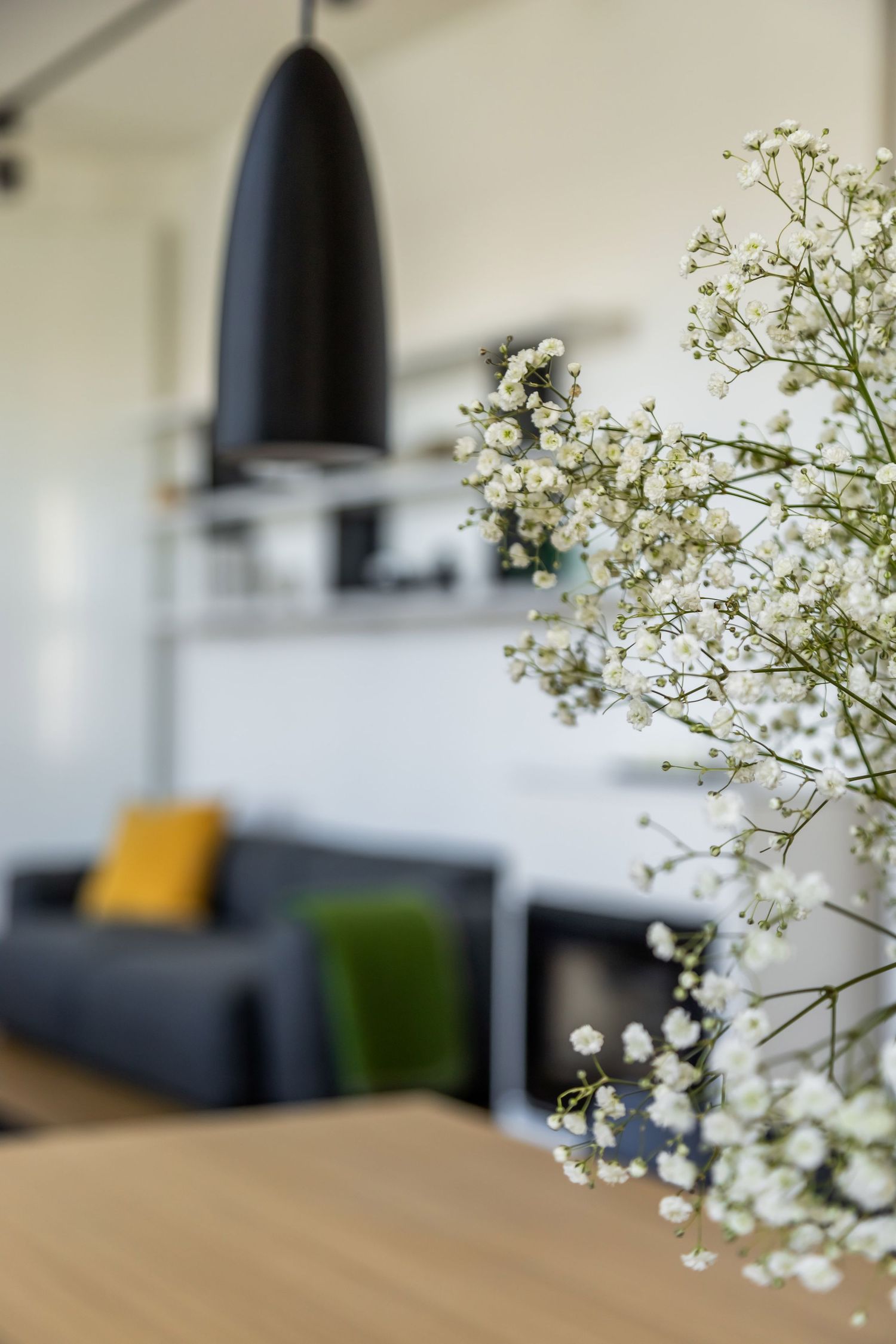 Close-up of white gypsophila flowers in foreground with blurred modern living room interior behind.
