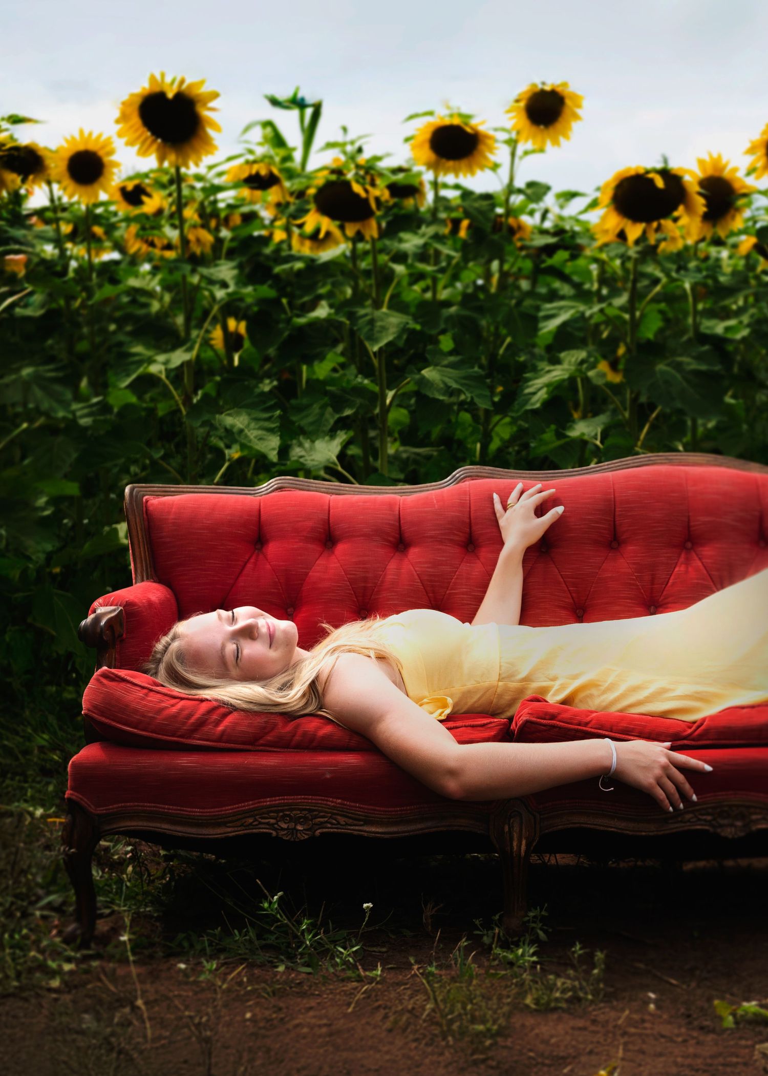 A vintage red velvet sofa sits in front of a vibrant sunflower field creating a dreamy outdoor scene.