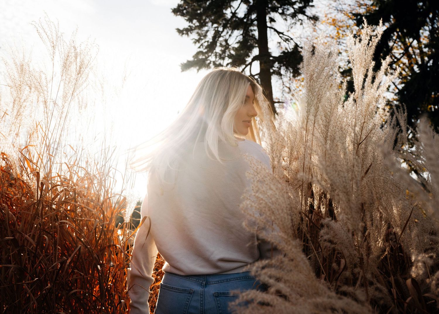 A person in sunlit field at sunset stands among tall dried plants and grass in nature.