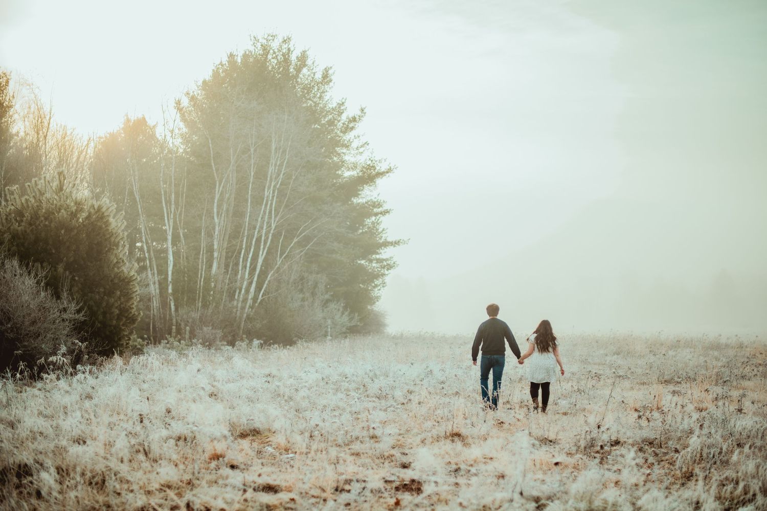 Silhouettes of people walking together through a misty winter landscape with frost-covered grass and trees.