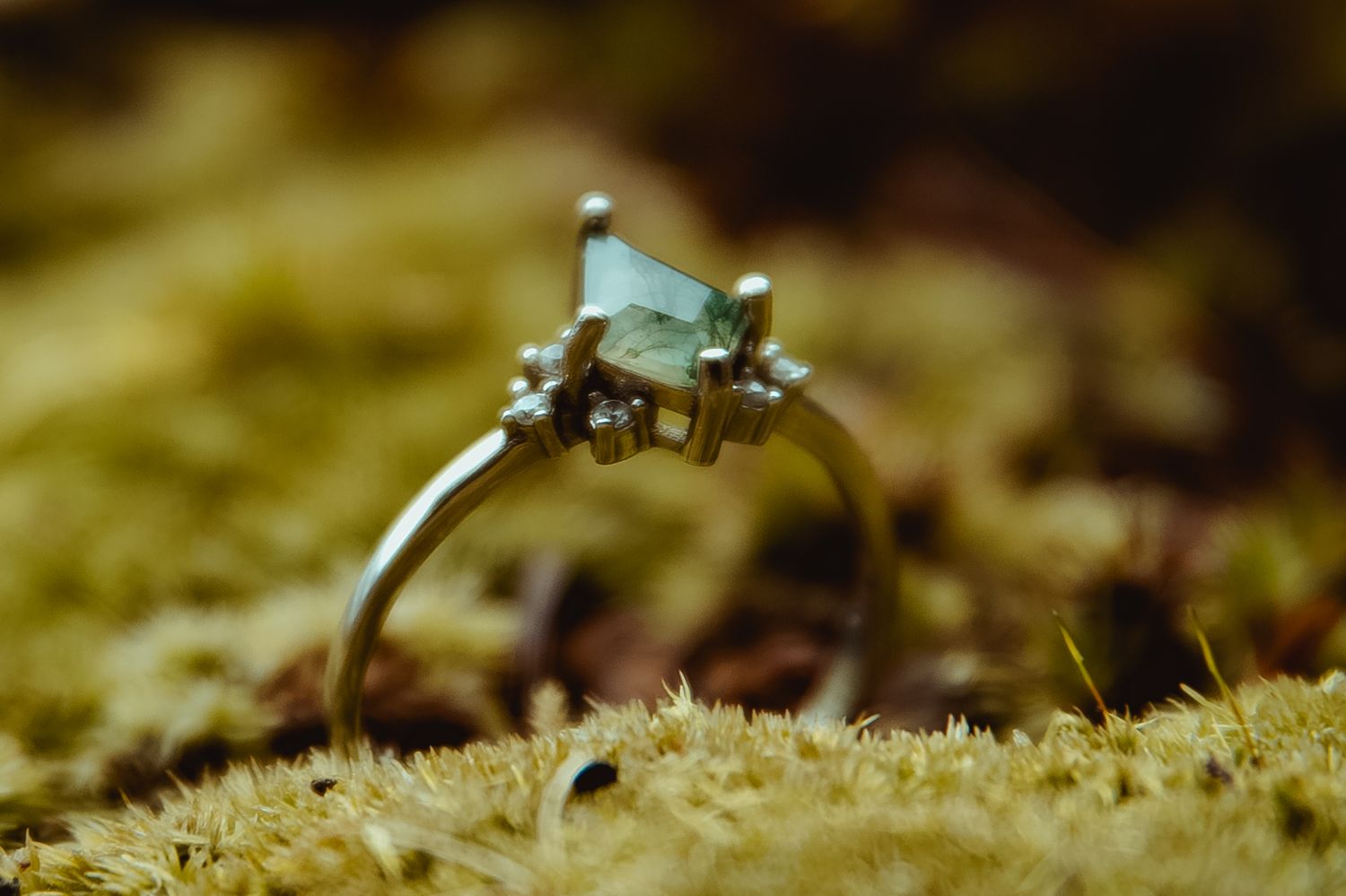 Macro photography captures a tiny wasp perched on a delicate green moss surface in natural lighting.