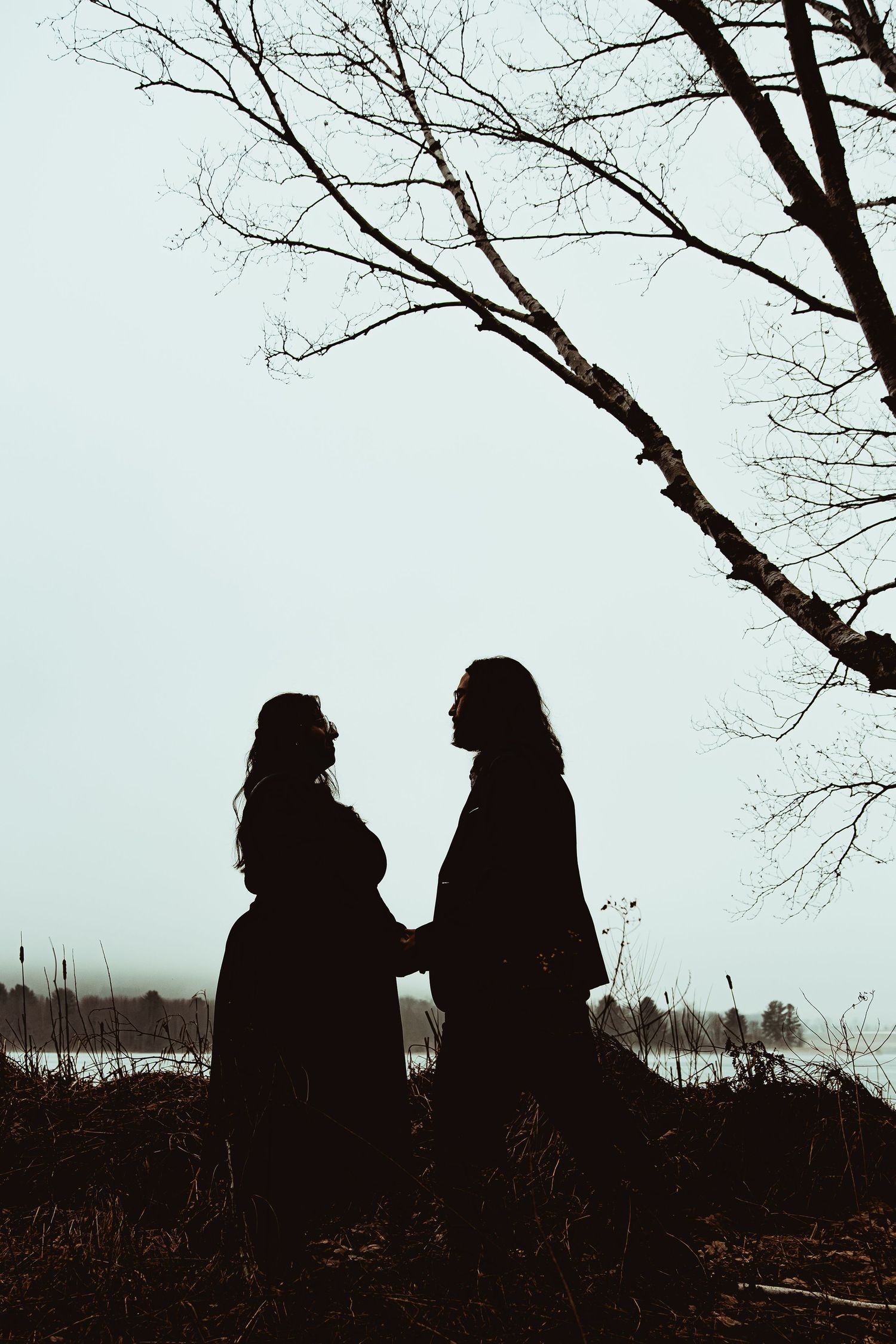 Silhouettes of two people conversing against a bare winter tree backdrop at dusk.