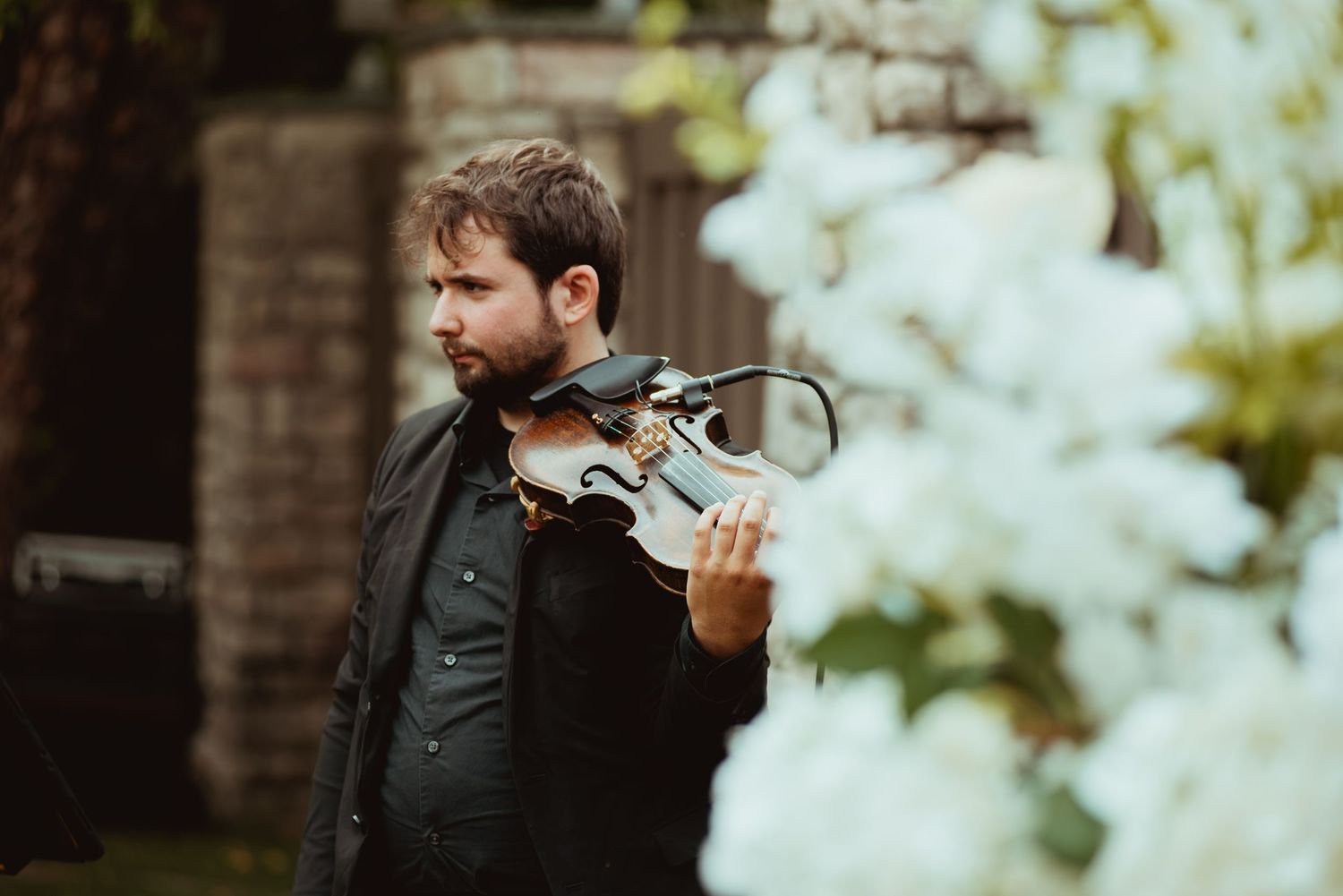 A bearded musician plays violin outdoors surrounded by white flowers and lush greenery.