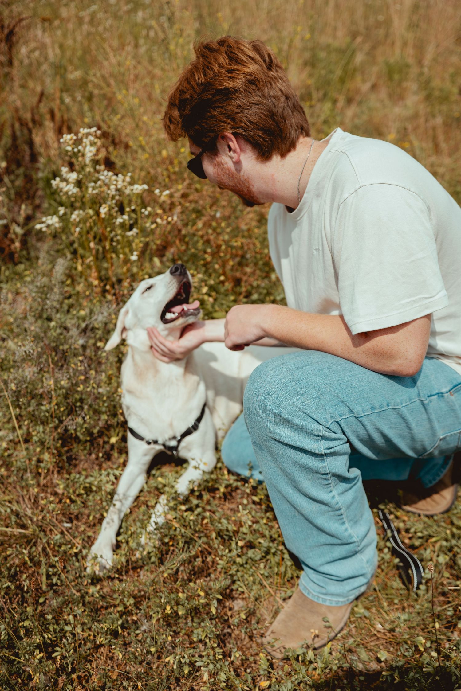 A person in a light shirt and blue pants plays with a white dog in a grassy field on a sunny day.