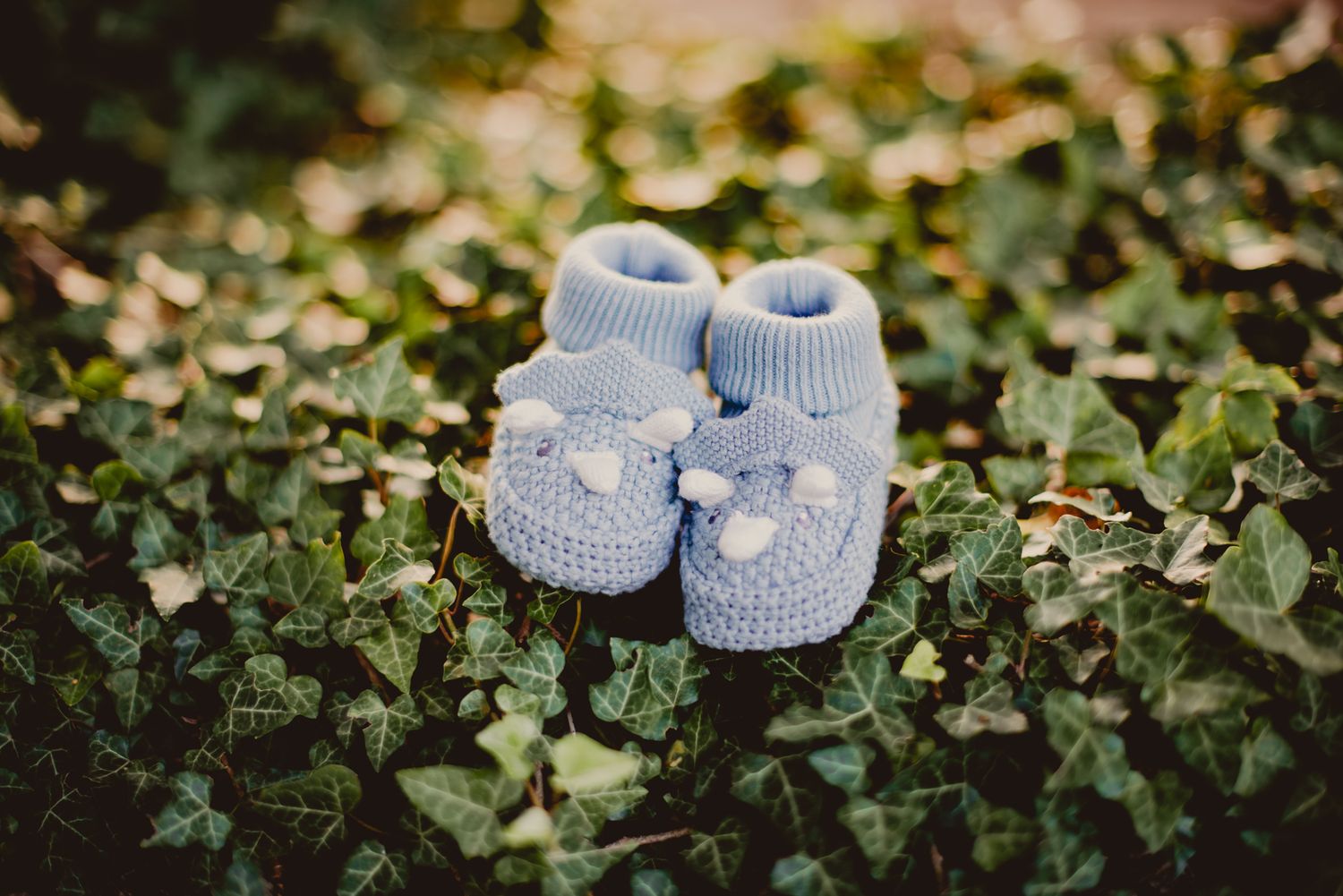 A pair of tiny light blue knitted baby booties resting on green ivy leaves in soft natural lighting.