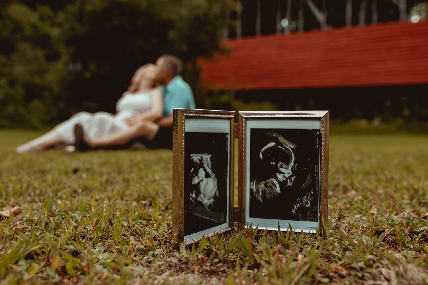 Ultrasound photos displayed in frames on grass with couple relaxing in background at sunset.