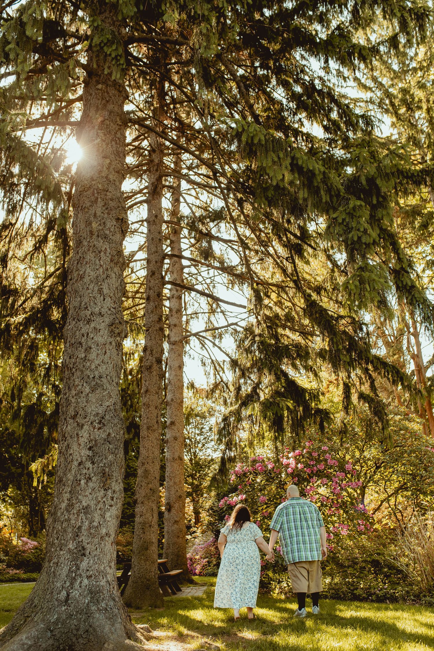 Elderly couple holding hands walking through a sunlit garden with tall pine trees and blooming flowers.