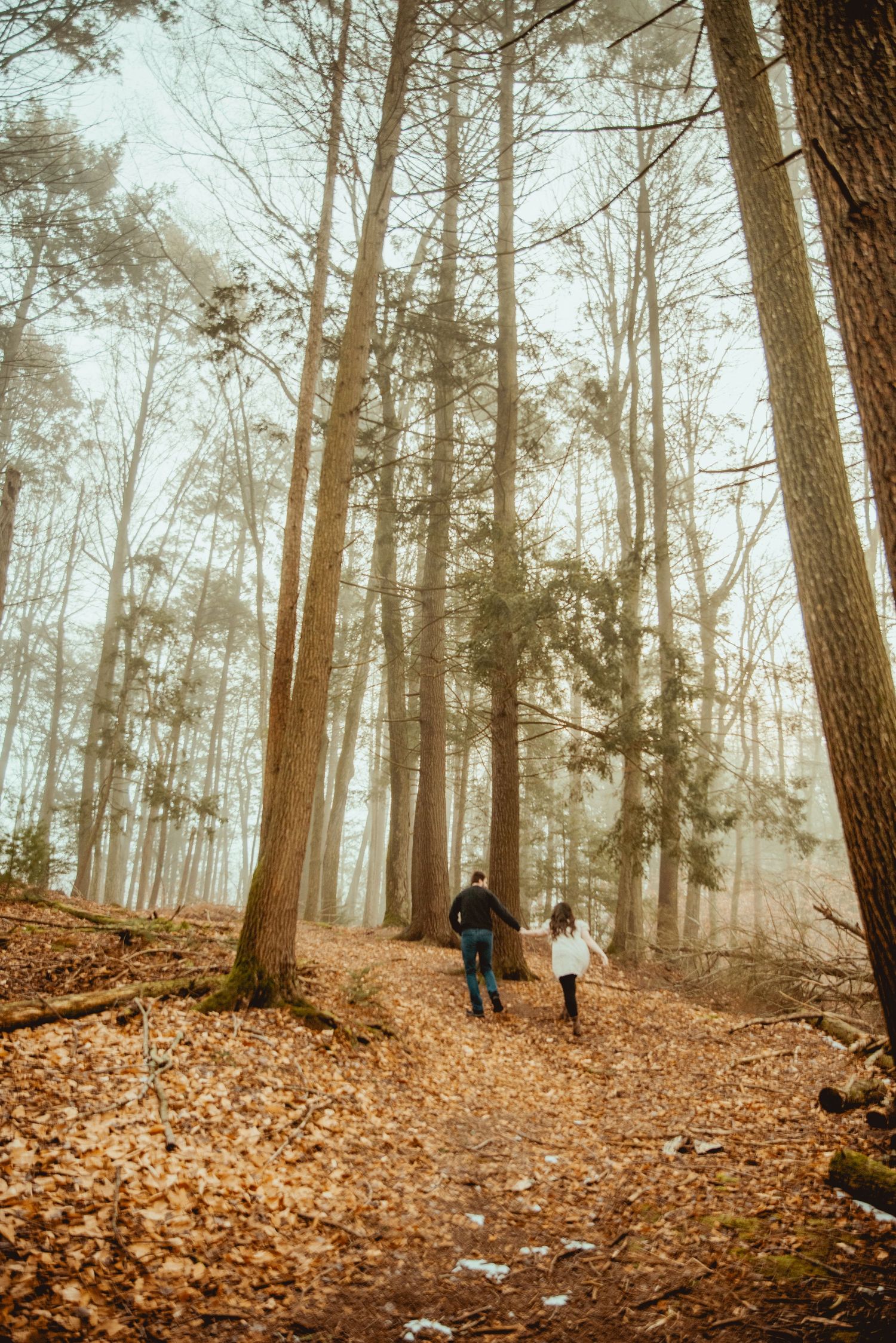 A misty autumn forest trail covered in fallen brown leaves with silhouetted figures walking in the distance.