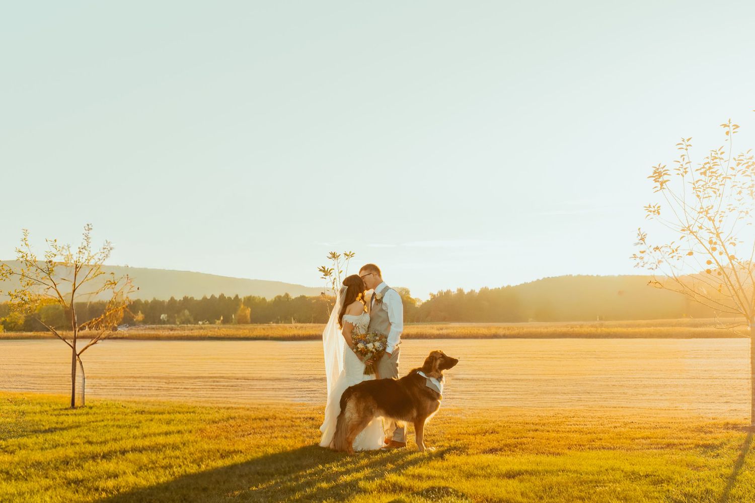 Golden hour wedding photos in a scenic field with warm sunset lighting.