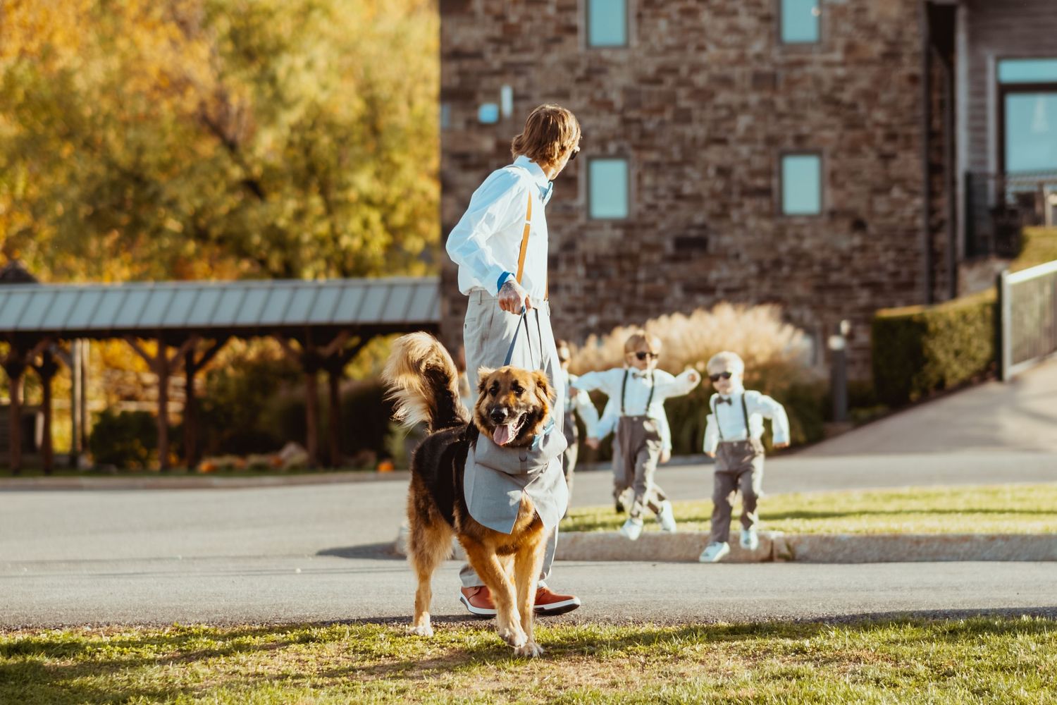 A person and dog play fetch with a tennis ball on a sunny autumn day outside a brick building.