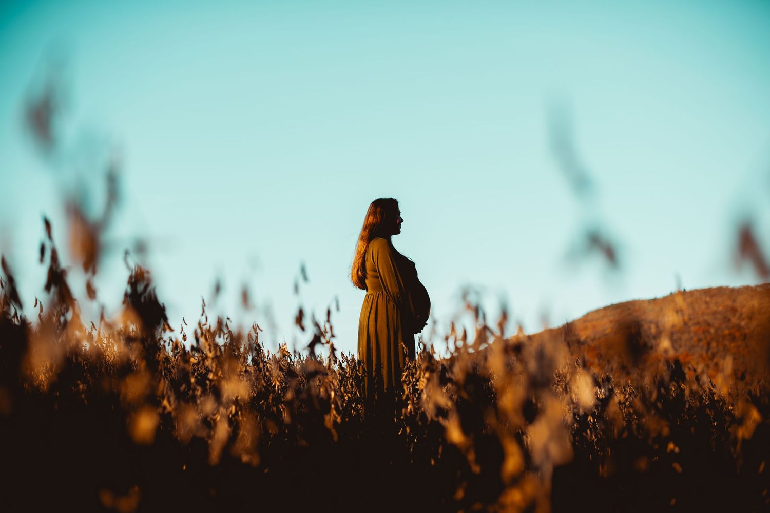 Silhouetted figures and tall grass stand against a warm sunset sky creating a dramatic natural landscape.