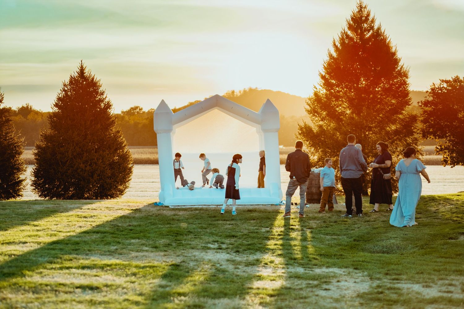 Wedding party silhouettes against sunset sky with evergreen trees creating a scenic outdoor backdrop.