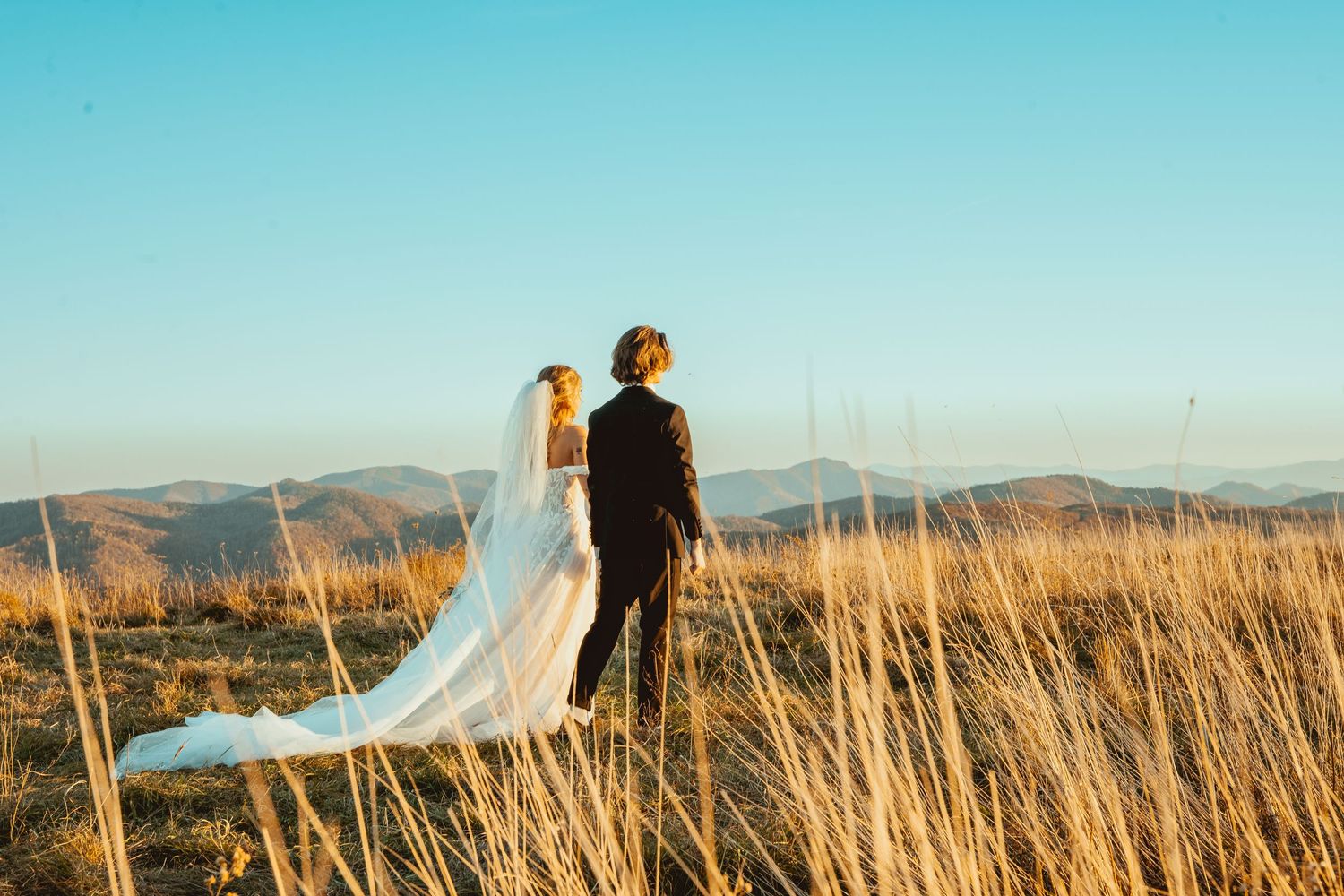 Couple stands in golden field during sunset with flowing white veil creating romantic silhouette against mountain backdrop.