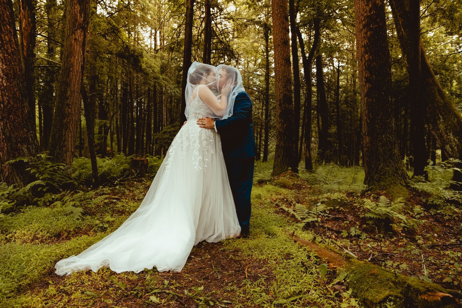 Bride and groom embracing in a sunlit forest with tall trees and mossy ground on their wedding day.