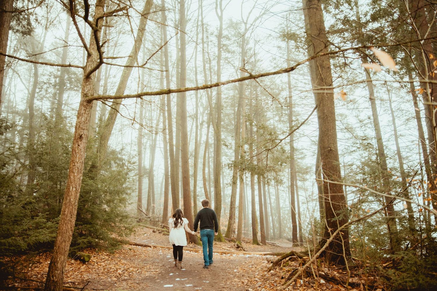 A couple walks hand in hand down a misty forest trail surrounded by tall trees on an autumn day.