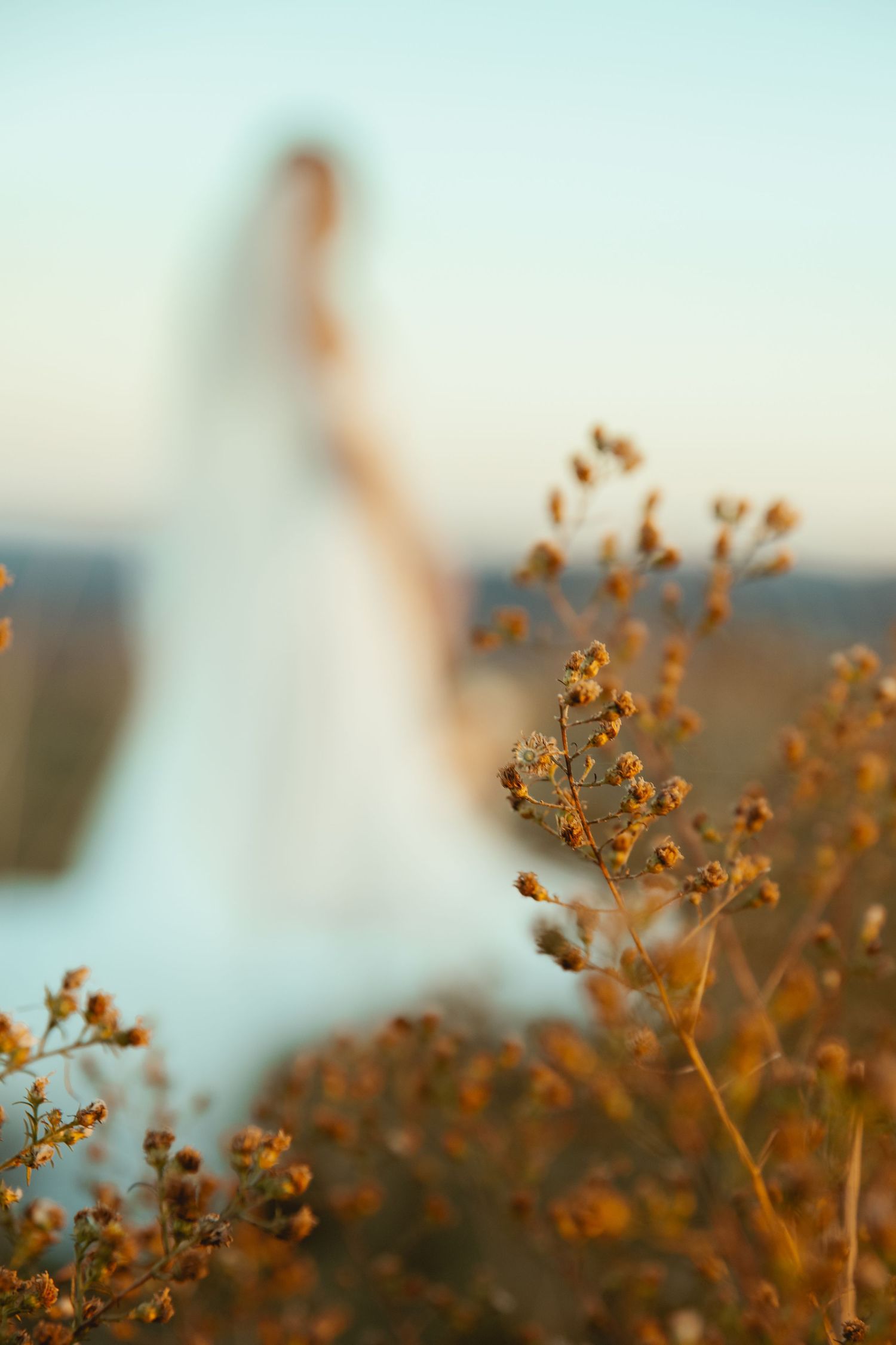 Golden wildflowers in foreground with blurred wedding couple in background at sunset.