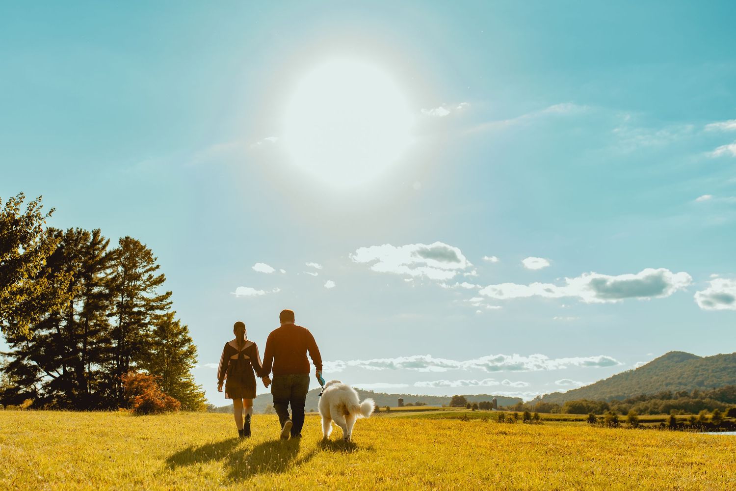 Silhouettes of people walking together against a vibrant sunset sky with mountains and trees in the background.