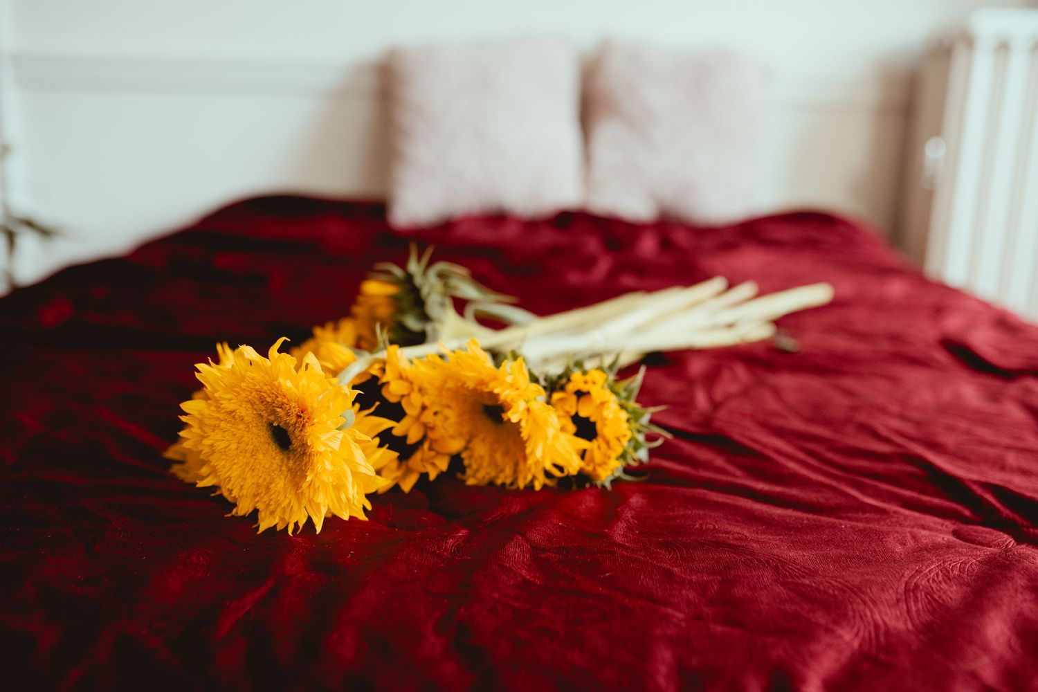 Bright yellow sunflowers resting on a luxurious deep red velvet bedspread in an elegant bedroom setting.