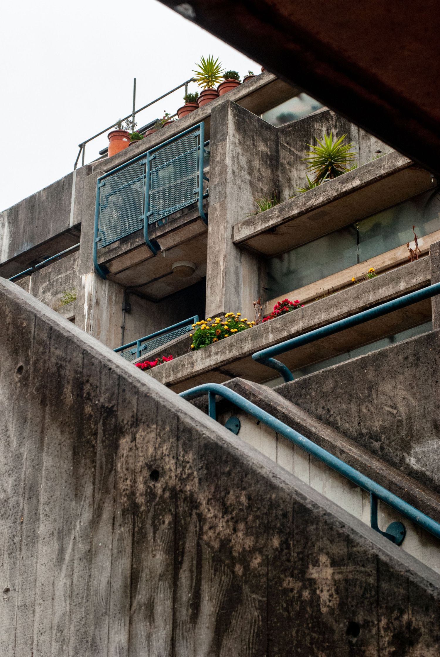 Brutalist concrete architecture with potted plants and blue railings creating diagonal lines.