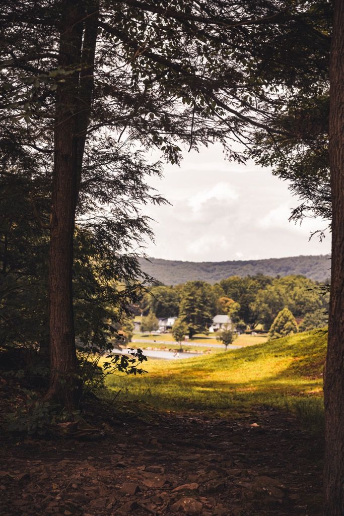 A scenic valley view framed by tall pine trees with houses and mountains in the distance.