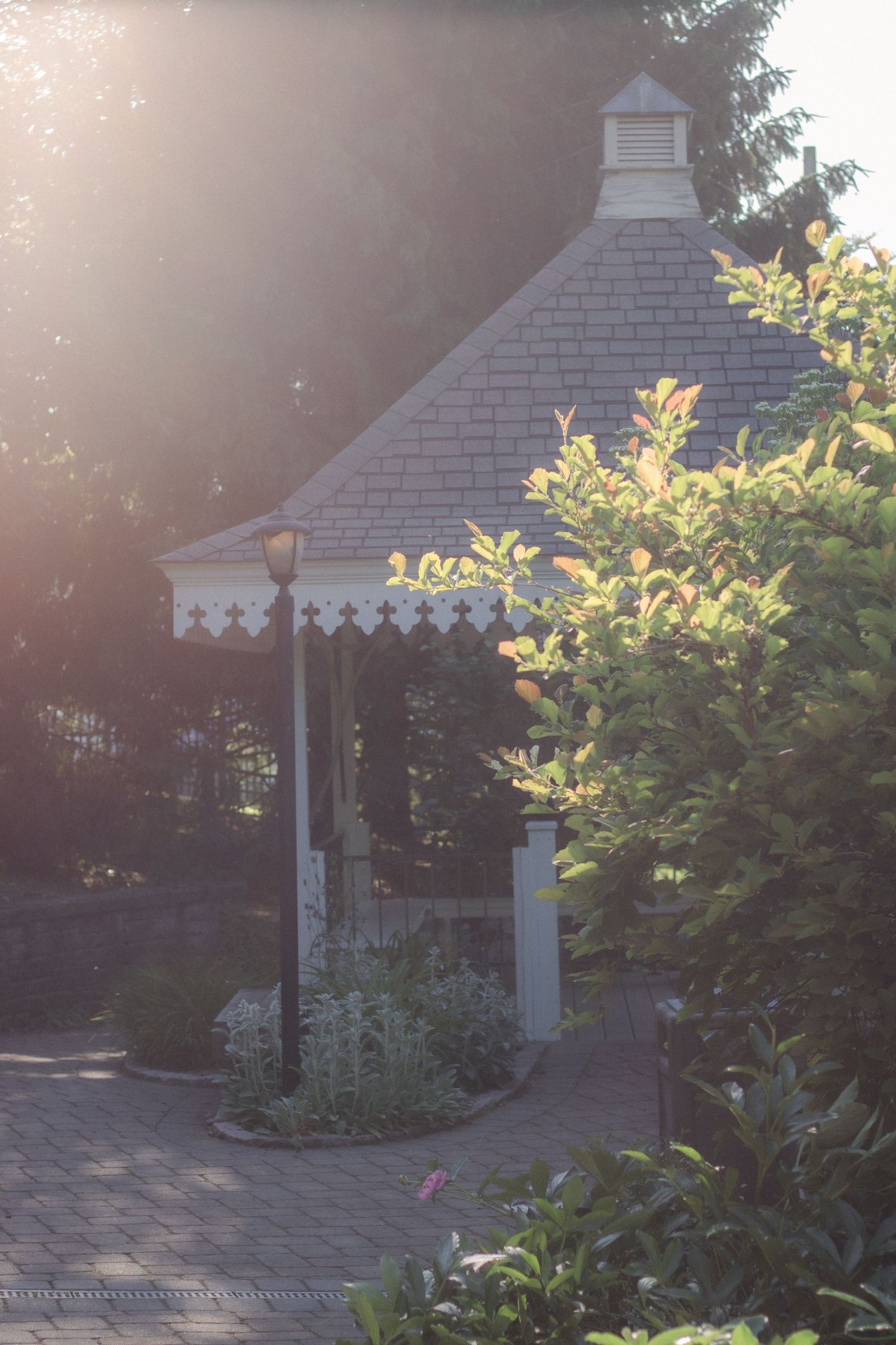 A sunlit white gazebo with a shingled roof surrounded by lush green garden plants and brick pathway.