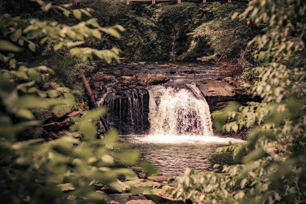 A cascading waterfall flows into a serene pool surrounded by lush green forest foliage.