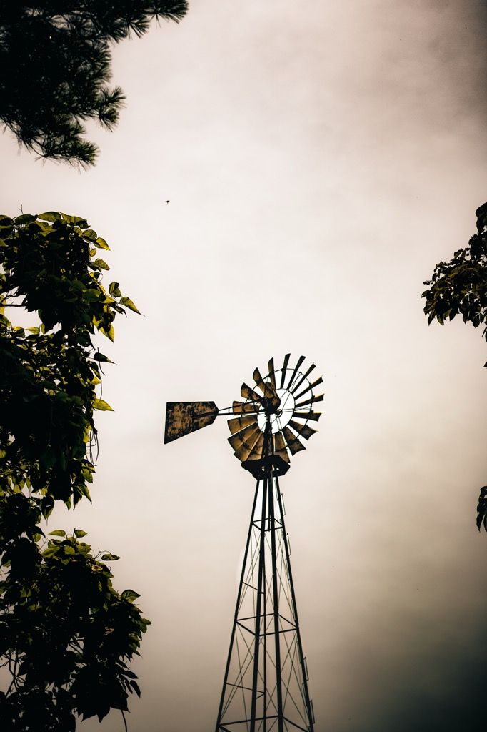 Rustic windmill tower rising against overcast sky framed by green trees, viewed from below.