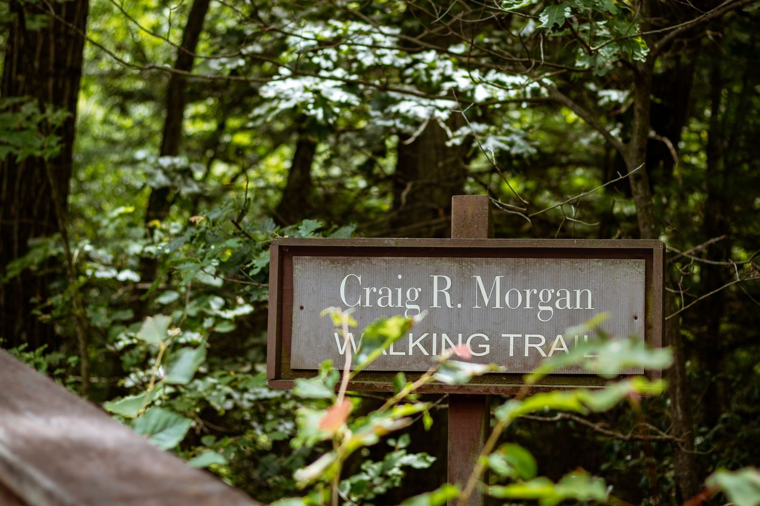Wooden sign for Craig R. Morgan Walking Trail surrounded by lush green forest foliage.
