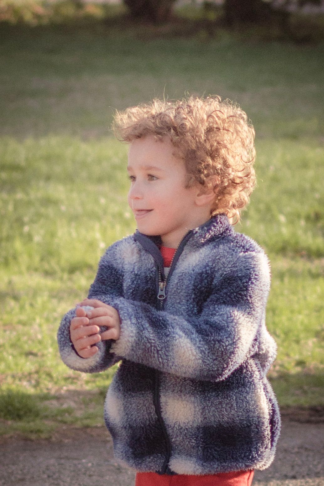 Curly-haired toddler in plaid fleece jacket clasping hands outdoors on green grass.