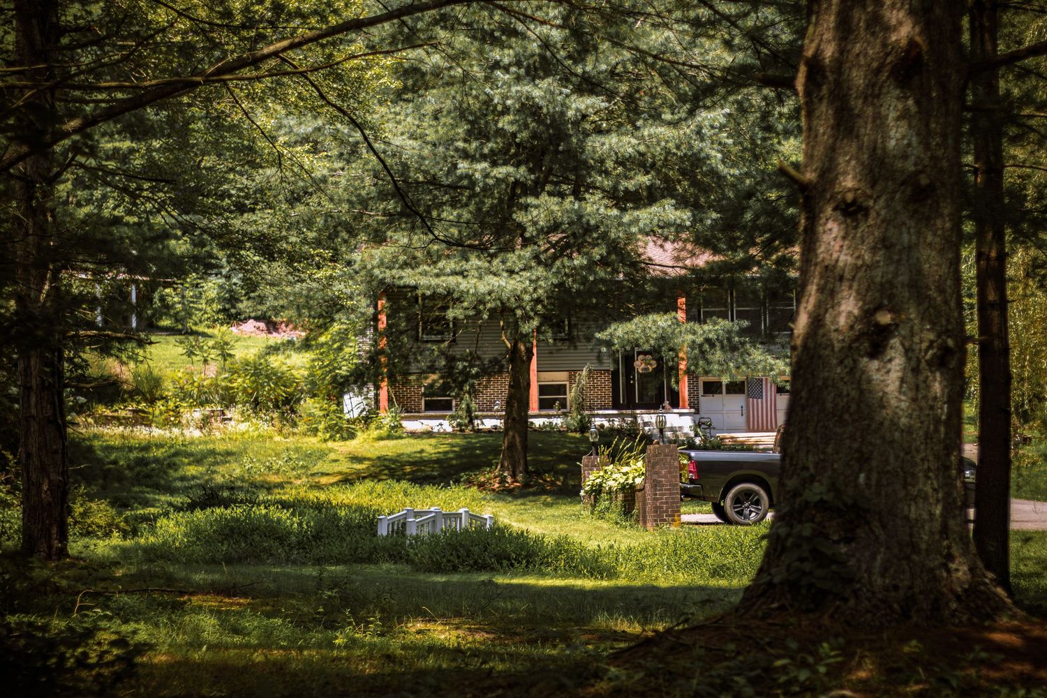A vintage truck parked among tall green trees near a rustic cabin in a wooded setting.