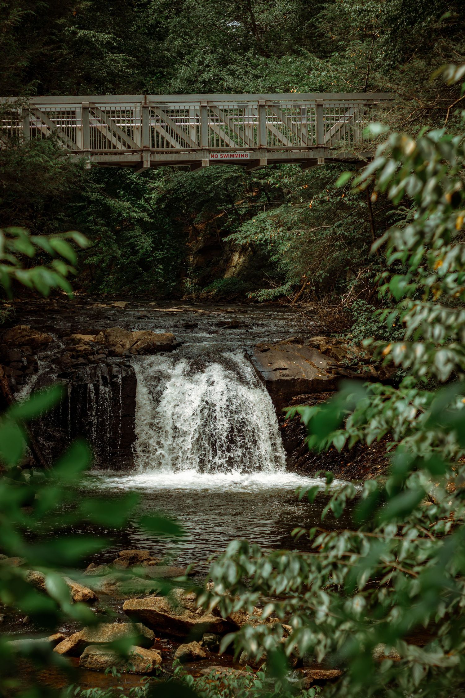 A wooden bridge spans above a rushing waterfall framed by dense green forest trees.