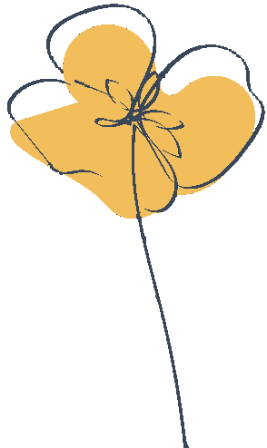 Logo fleur gauche Steph Lecaudé photographe de moment précieux