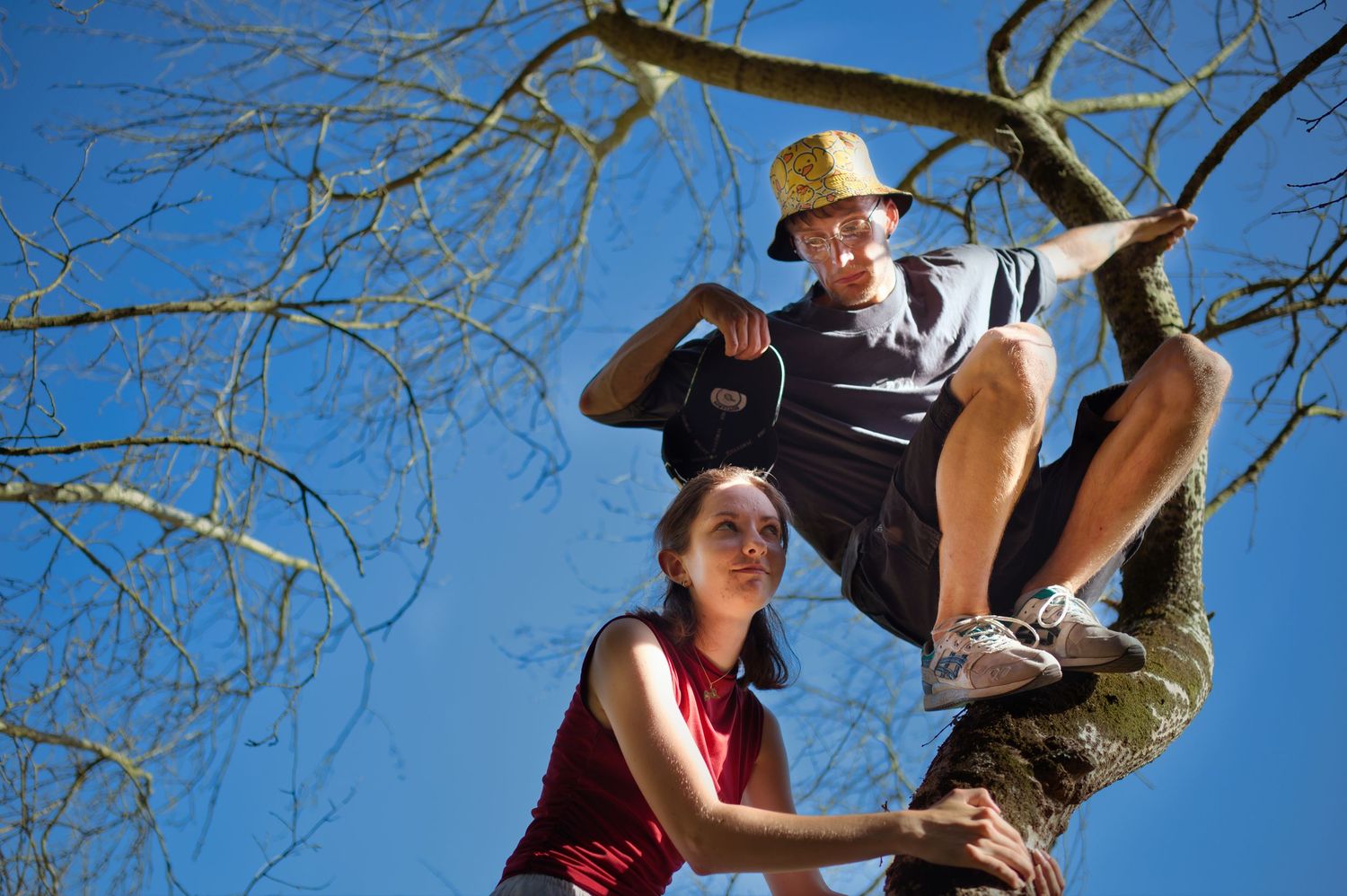 Photos amitié dans les arbres par Steph Lecaudé