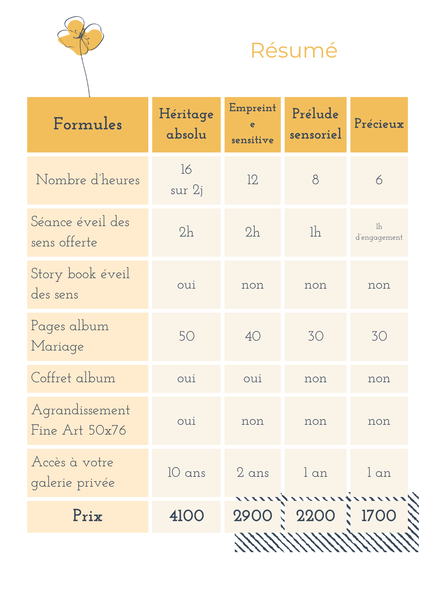Infographic showing photography package pricing and service comparison chart with yellow and gray color scheme.