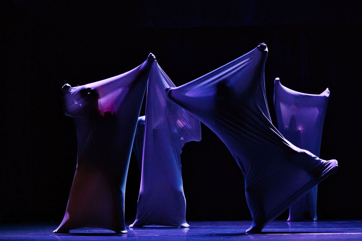 gala danse originale ombres et lumières Peps Danse Steph Lecaudé photographe