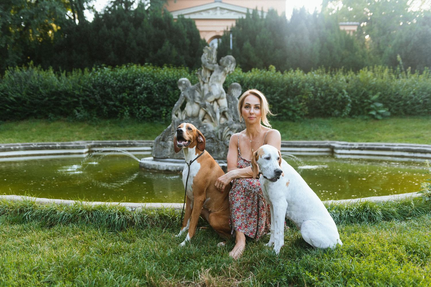A peaceful garden scene with dogs relaxing by an ornate fountain.