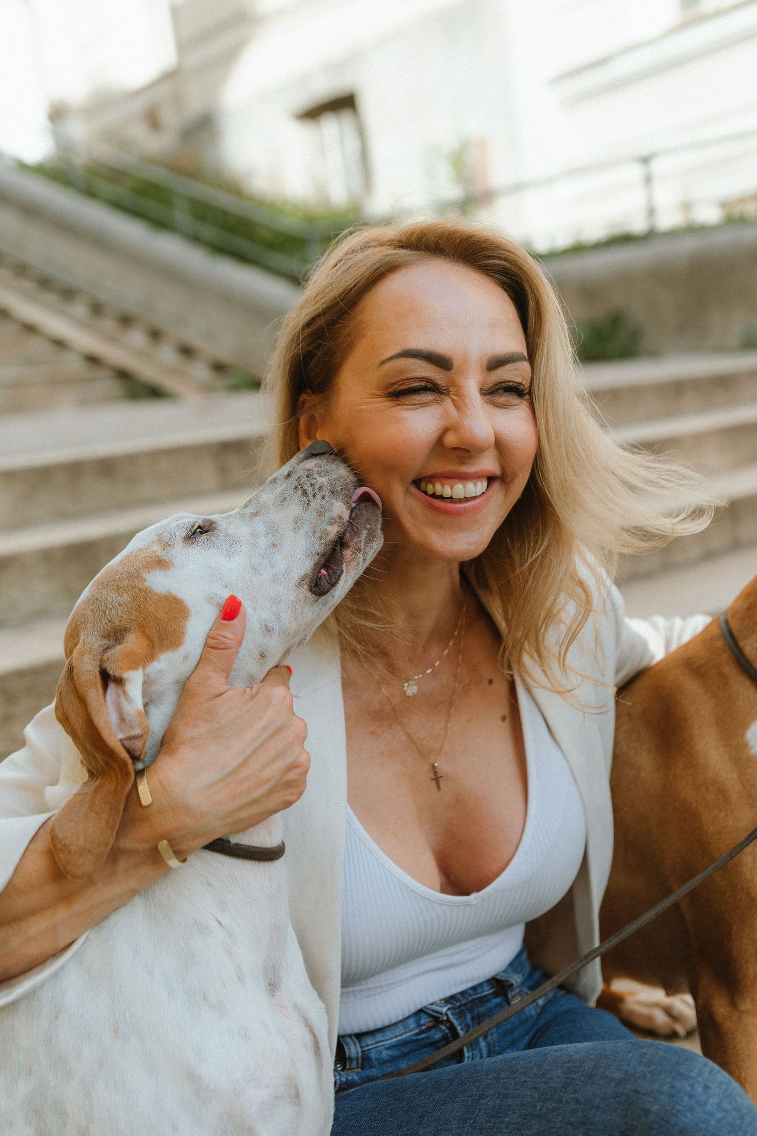 Playful interaction between person and dogs in outdoor setting.