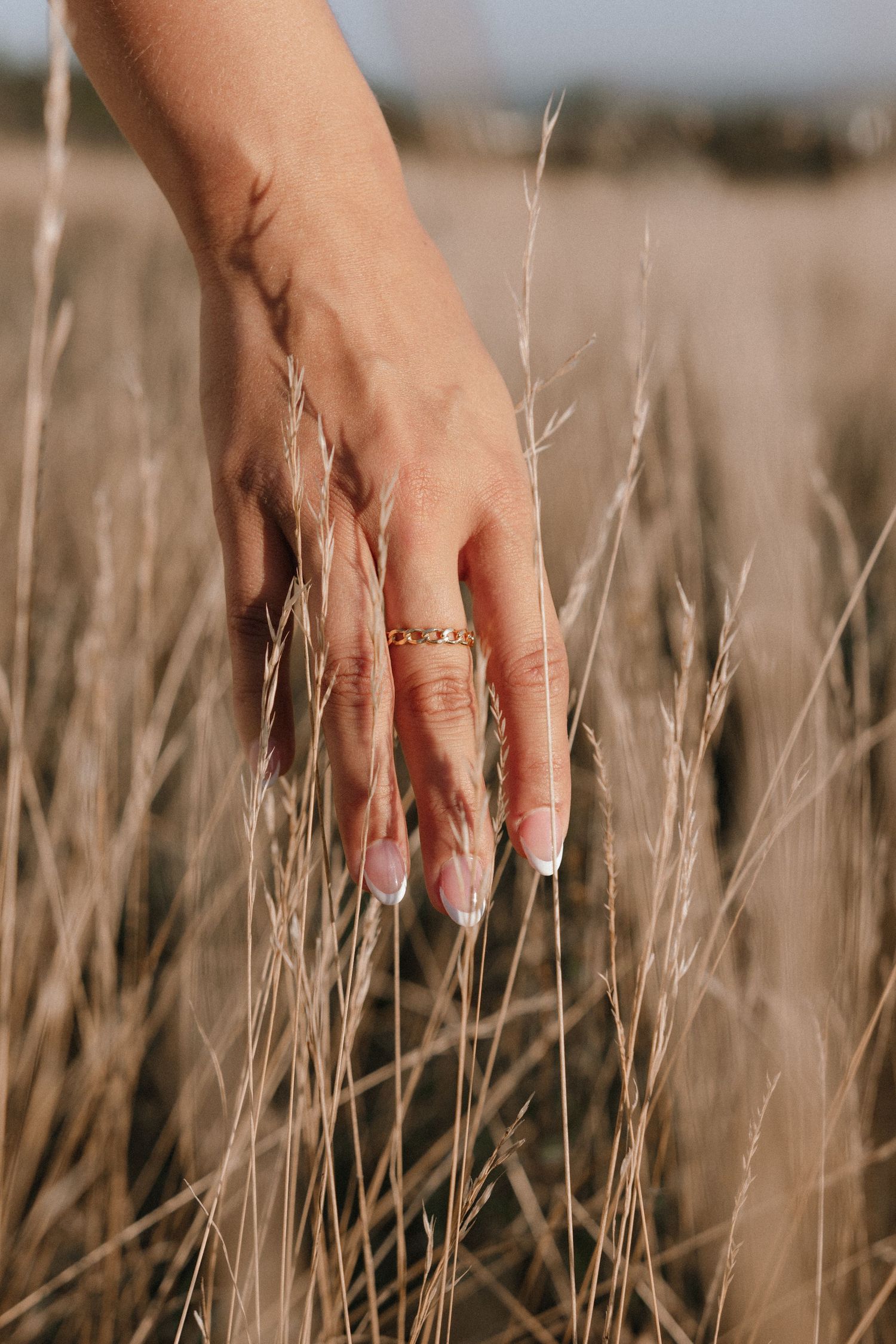 Hand with delicate rings gently touches tall dried grass in a field at sunset.