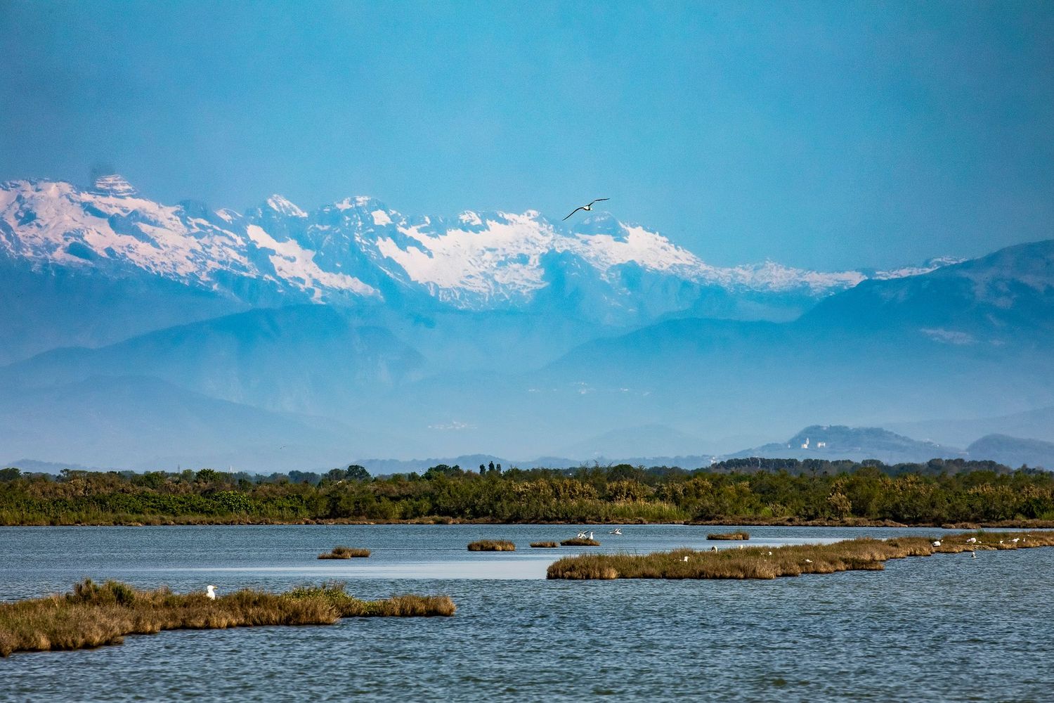 An der Küste von Venezien blickt man auf die verschneiten Alpen.
©️Daniel Klaucke 2025
