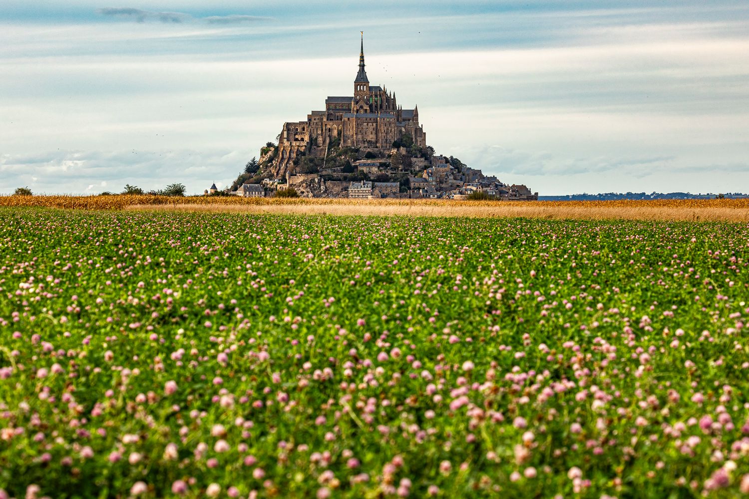 Mont Saint Michel inmitten der angrenzenden Felder in der Normandie
©️Daniel Klaucke 2025