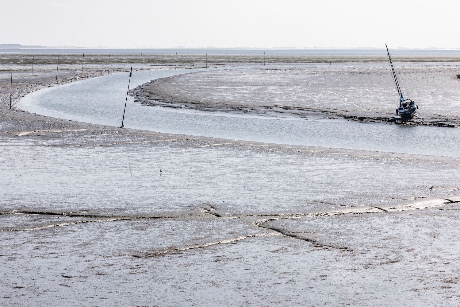 Bei Ebbe fällt das Watt trocken und ein Boot wartet auf die Flut.
©️Daniel Klaucke 2025