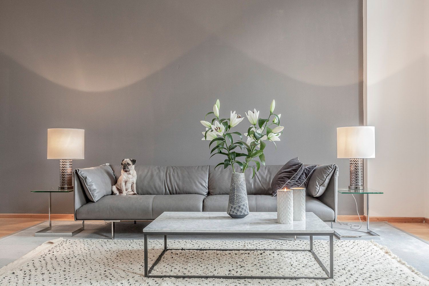 Das Sofa einer Loftwohnung ist von einem Mops belegt.
©️Daniel Klaucke 2025