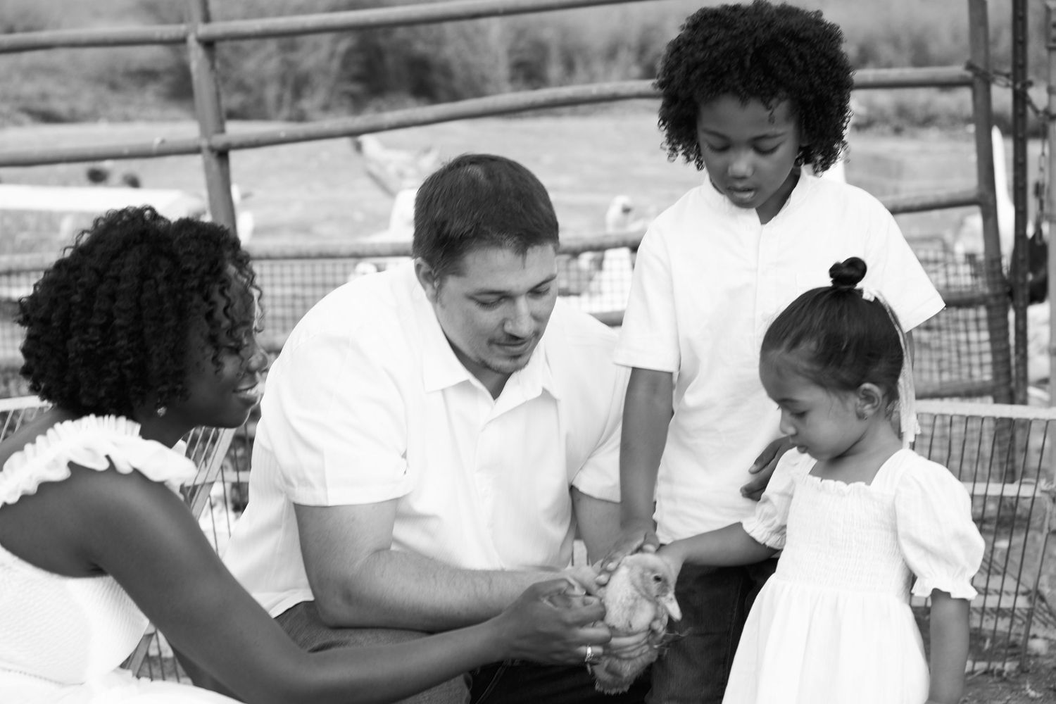 Family in white clothing bonding with a small animal at a farm, captured in black and white photography.