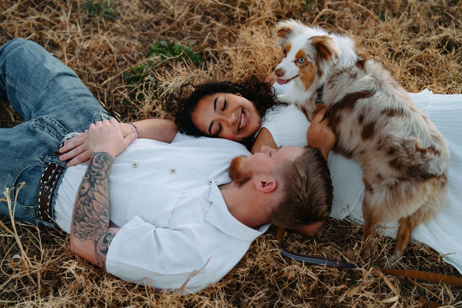 Couple lying together in a field of dried grass with their Australian Shepherd dog on a sunny day.