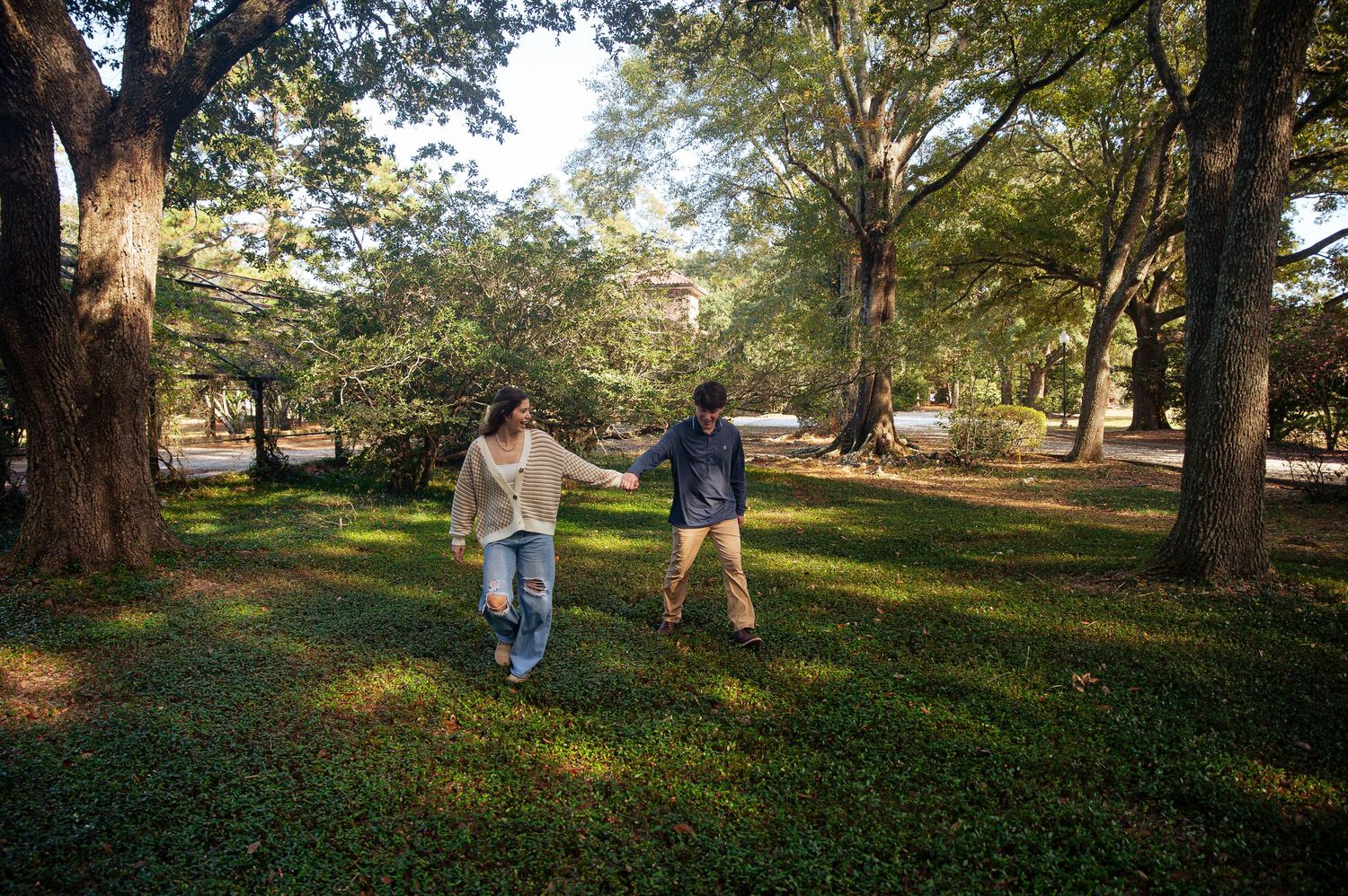 People enjoying a sunny day in a park with tall trees and green grass creating a peaceful outdoor setting.