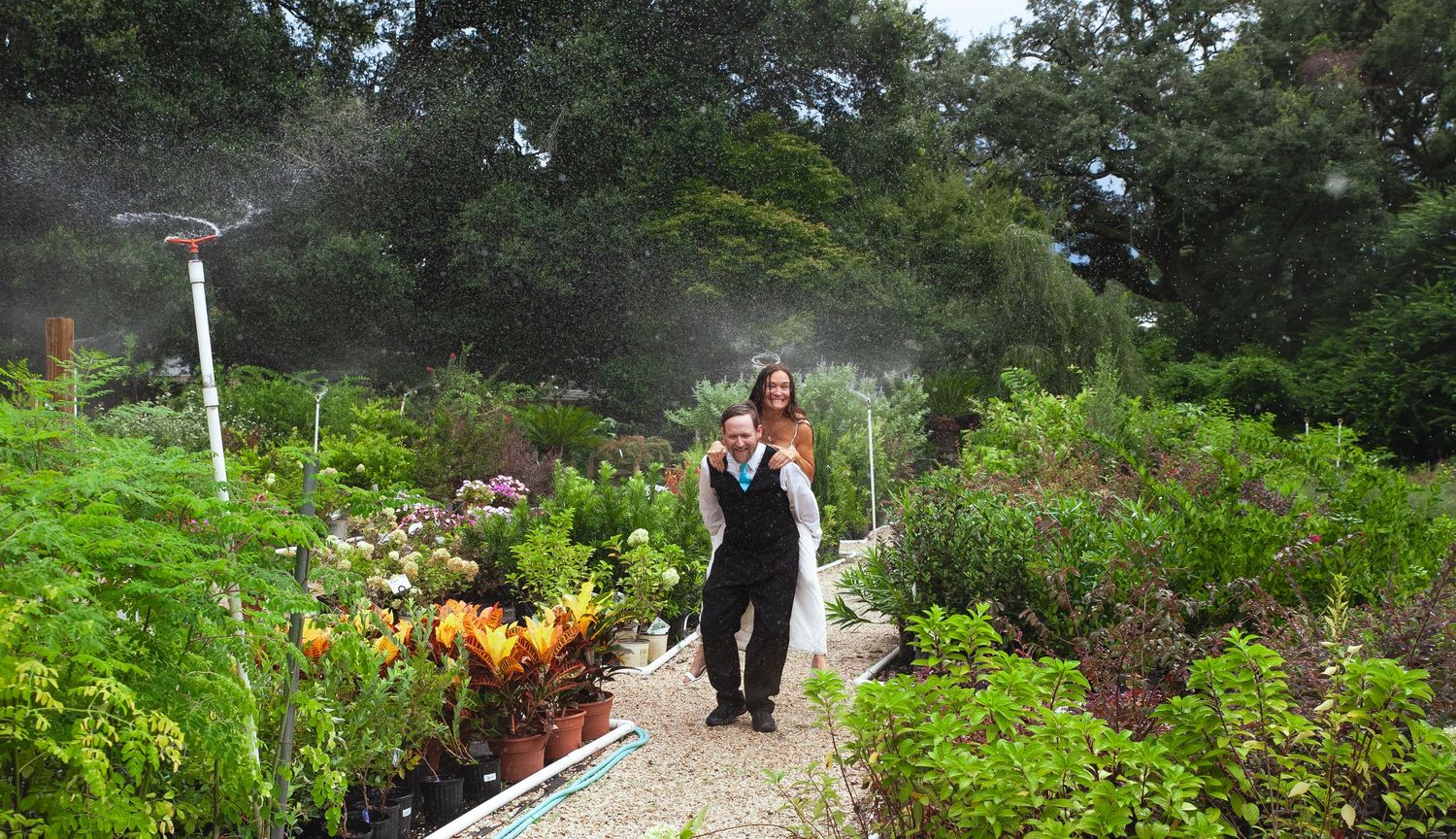A figure walks along a garden path surrounded by lush greenery and flowering plants while sprinklers spray in the background.